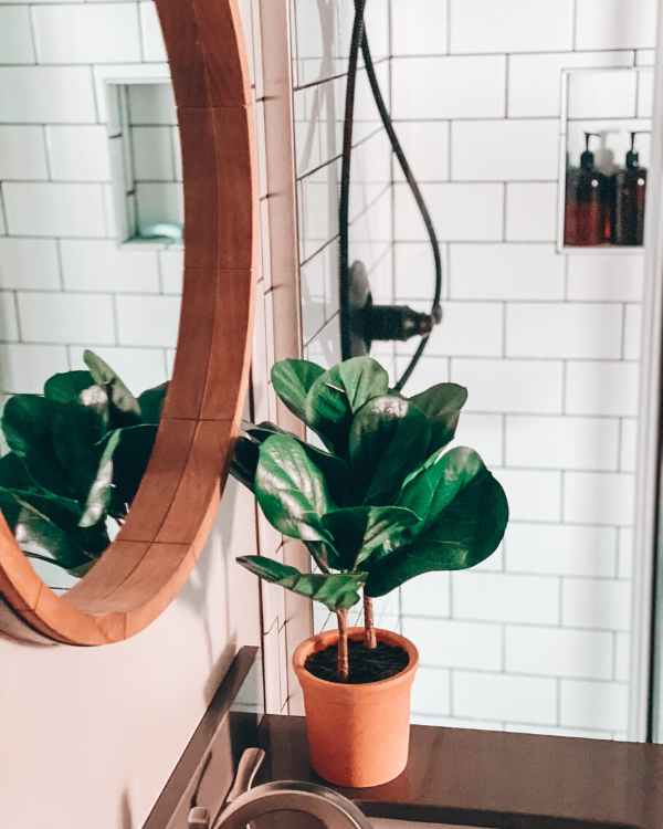 round mirror and plant for decor in the basement bathroom