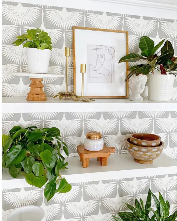 Plants in shelf styling