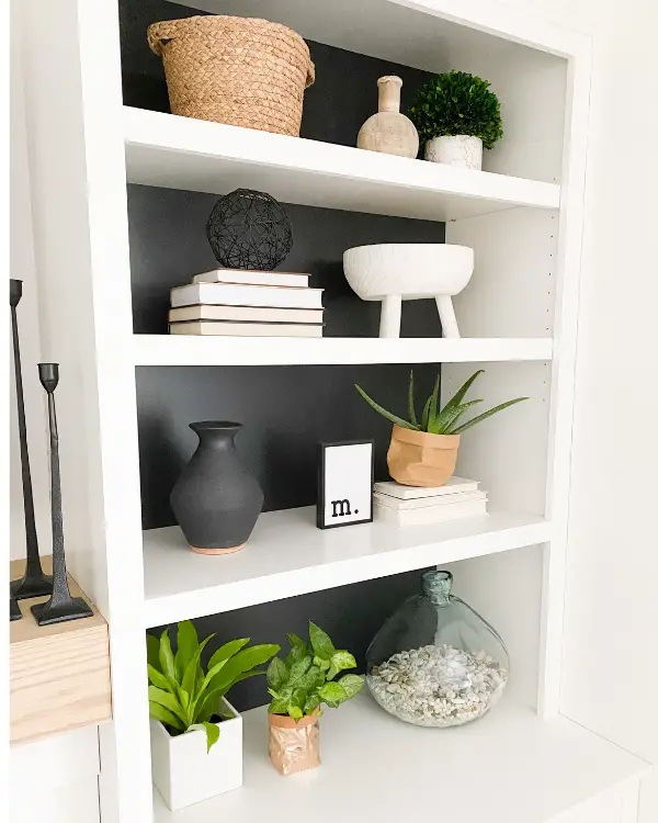 I used plants when styling my shelves.