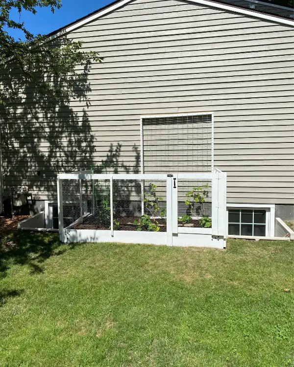The finished garden fence and cucumber screen