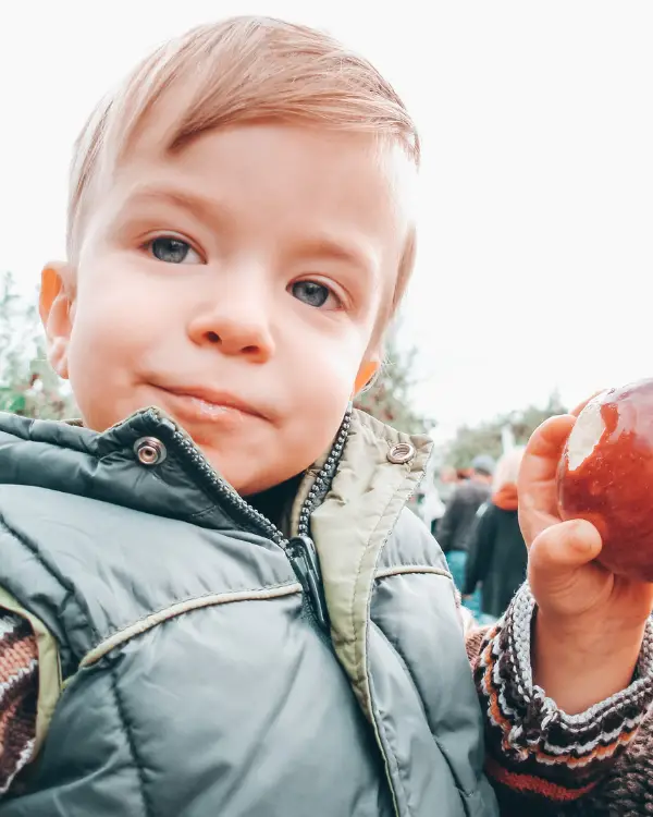 My son at the apple orchard. 