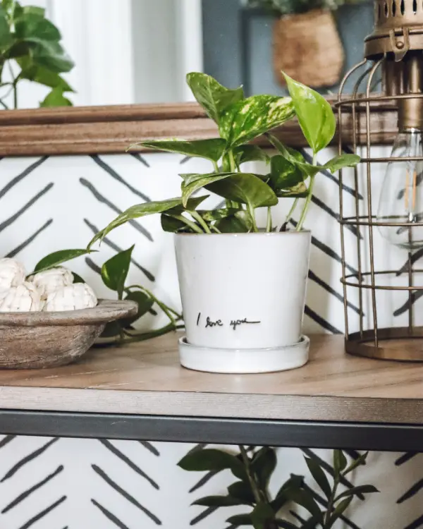 This "i love you" planter is the perfect piece for decorating for Valentine's Day in subtle ways!