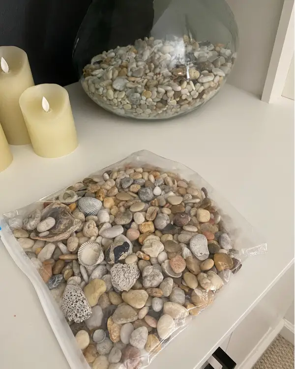 this year's collection of shells and pebbles