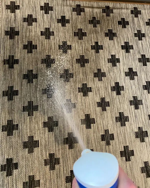 I just sprayed Dawn powerwash on the rug