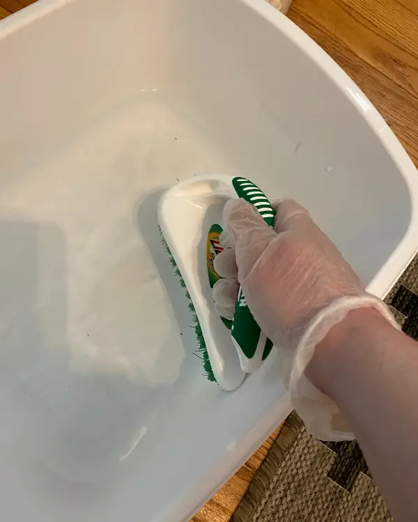 Dipping the scrub brush into a basin of water