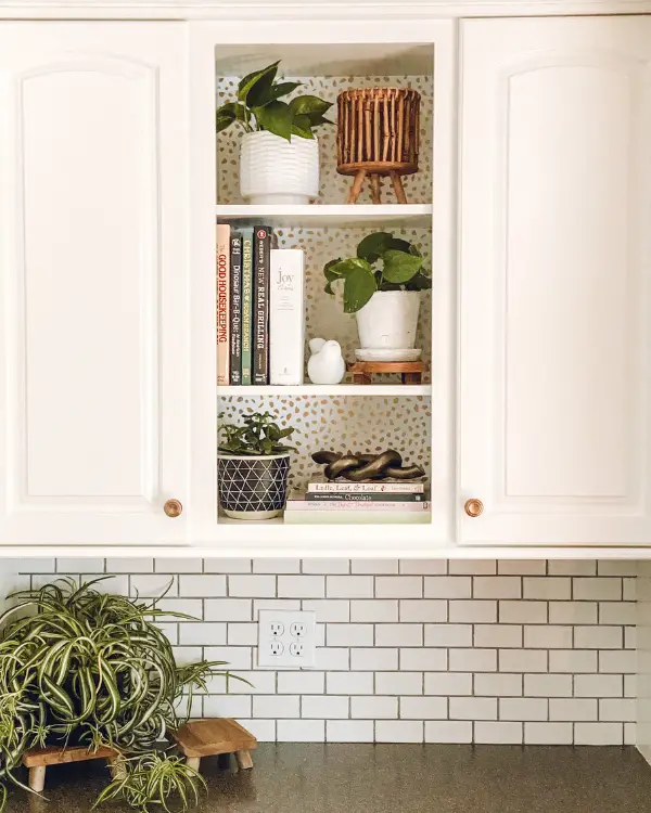 A kitchen shelfie