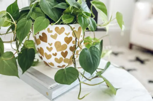 white planter with gold hearts decoupaged on it and a plant in it on a coffee table