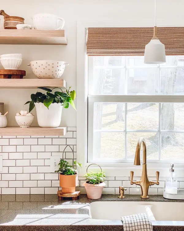 Cute plants decorating the kitchen counter in terracotta pots