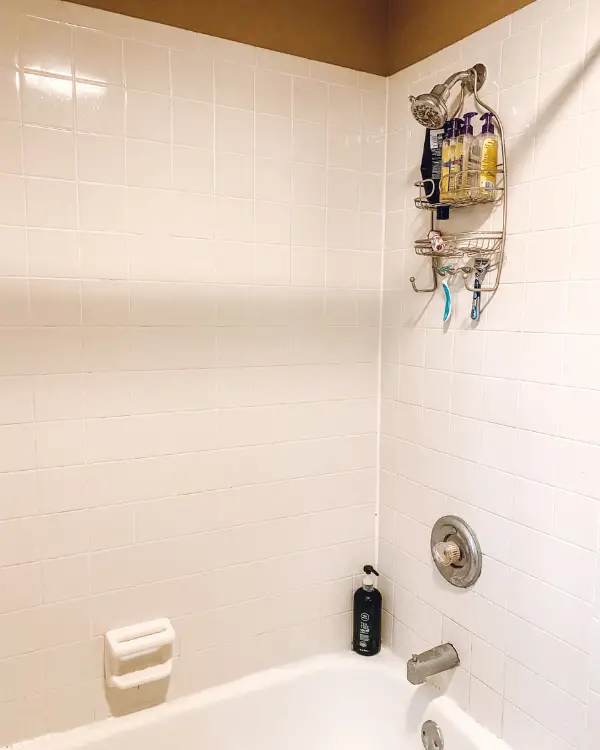 The shower before the bathroom makeover and remodel