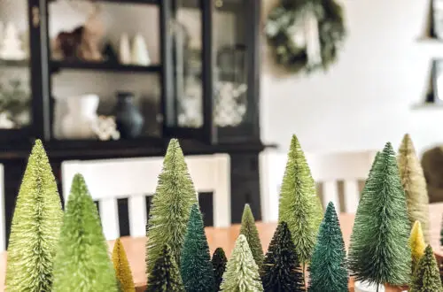 bottle brush trees in shades of green filling a long tray on the table