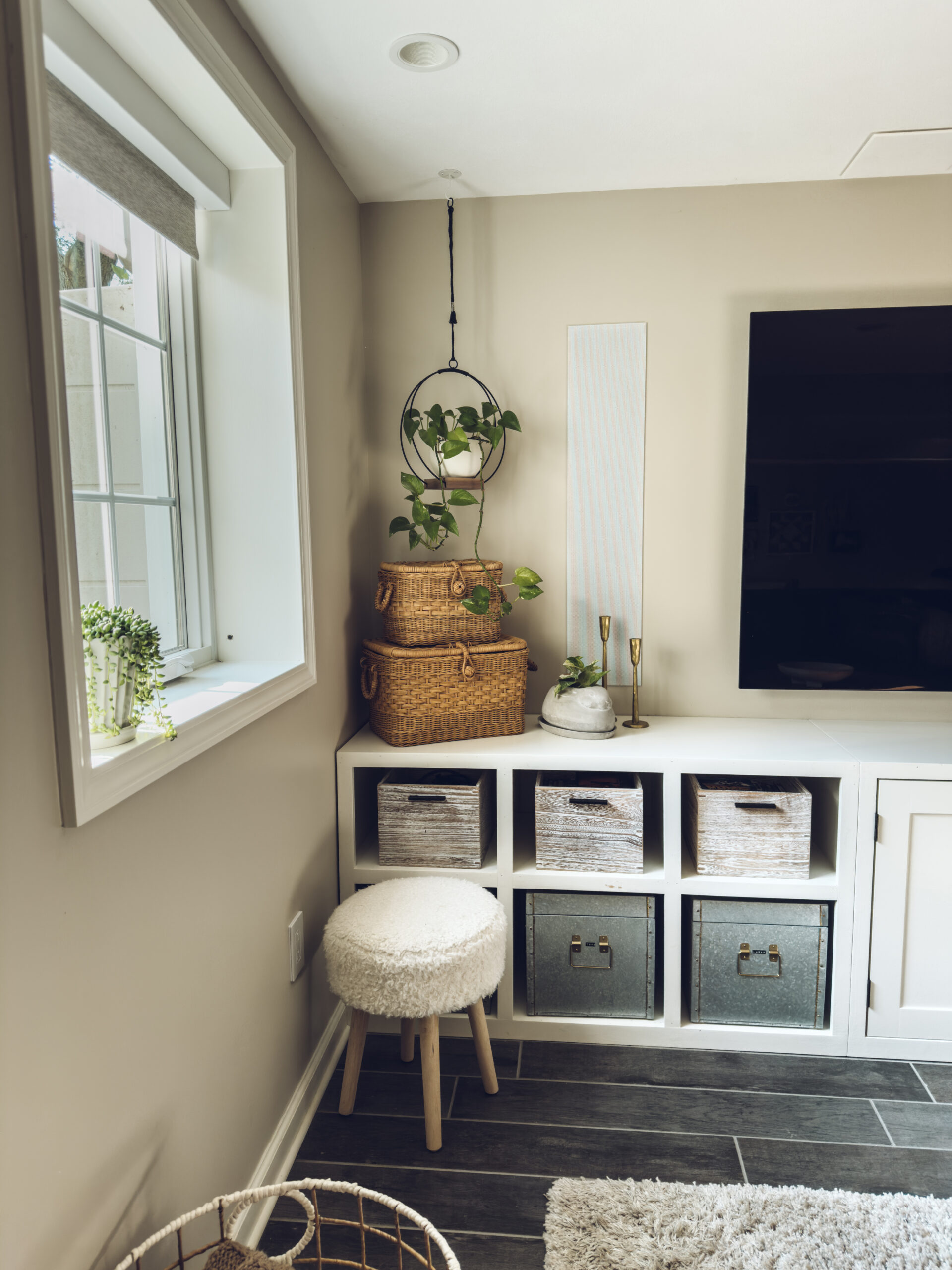 hanging plant and a plant in the window along with a bunny cement planter