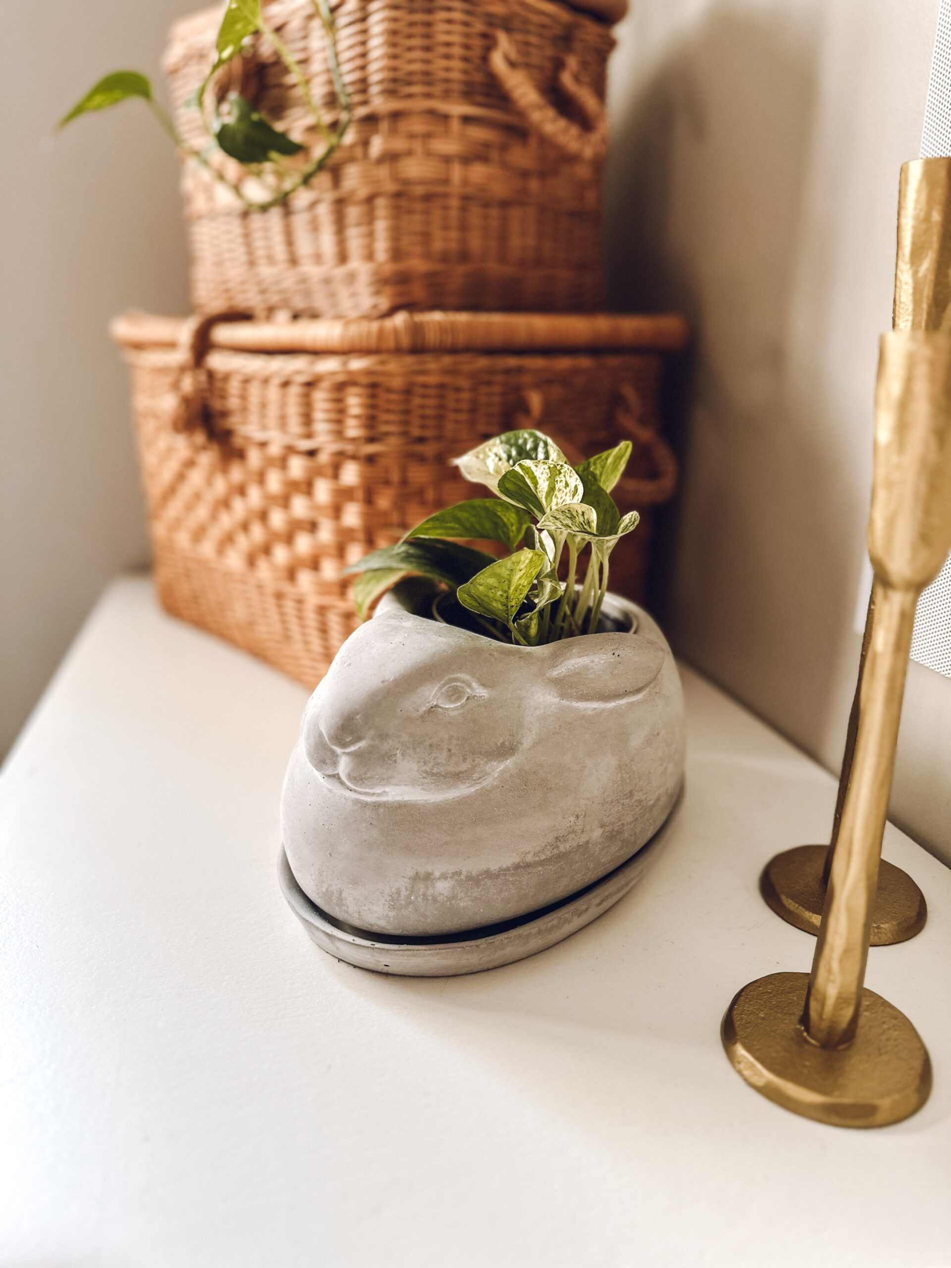 bunny cement planter